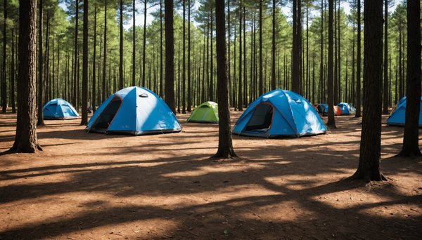 Découvrez le paradis du camping à andernos-les-bains